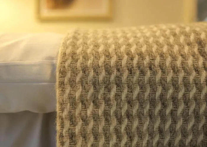 Appartement The Willow - 28 Bristol